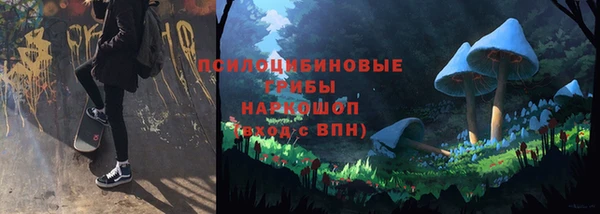 прущая мука Абаза