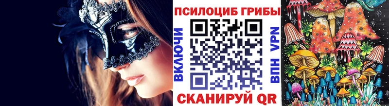 Псилоцибиновые грибы Psilocybine cubensis  где продают наркотики  Лосино-Петровский 