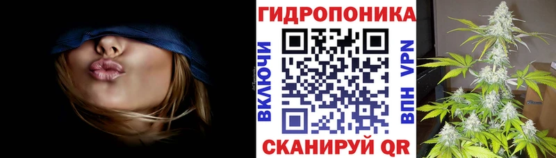 Марихуана сатива  Лосино-Петровский 
